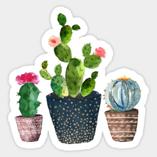 Watercolor hand painted Cactus trio Sticker